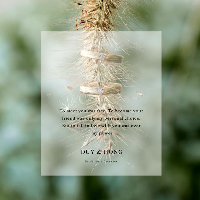 Ảnh cưới phóng sự (pre-wedding)
